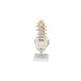 model kręgosłupa lędźwiowego człowieka - 3b smart anatomy - 1000146 [a74] 3b scientific modele anatomiczne 4